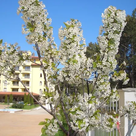 Appartement Summer Dreams Sunny *